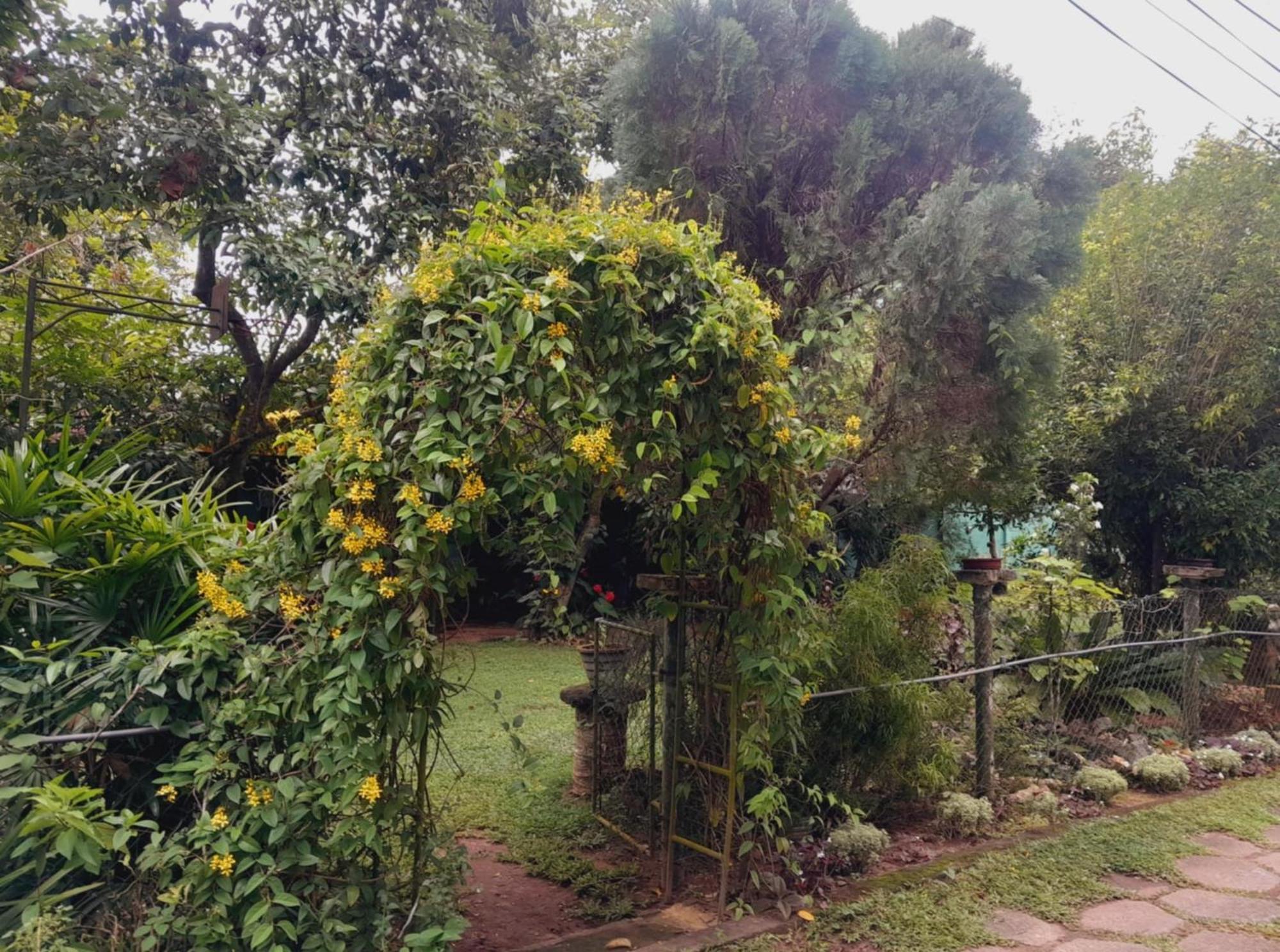 Laliz Bed & Breakfast Galle Dış mekan fotoğraf